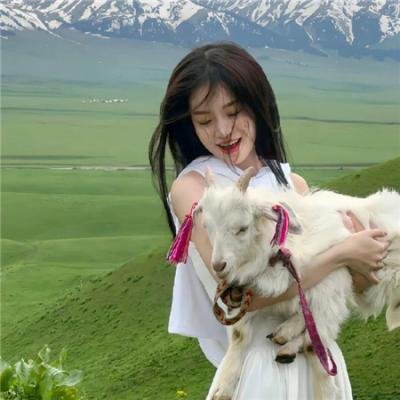 人生马戏团粤语